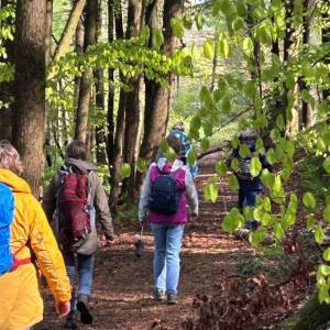 fruehlingswanderung02_original