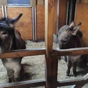 winterwanderung03_original